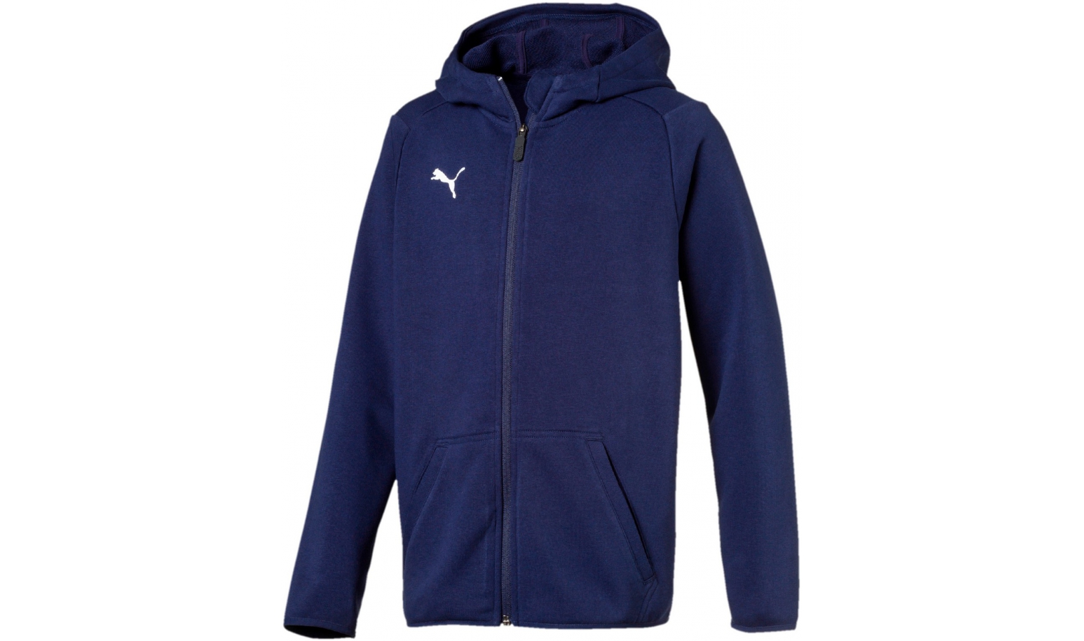 Kids sports jacket Puma LIGA CASUALS HOODY JACKET JR blue | AD Sport.store